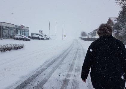 In Småland gibt es keine Wölfe